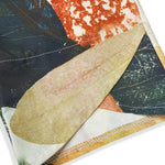 fd11f4c5-48c7-4ff8-8a70-9629bcf30caf-Max-Origin